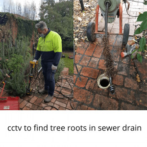 CCTV to find Tree Roots in Sewer Drain